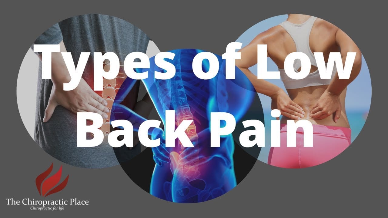 Types of Low Back Pain The Chiropractic Place