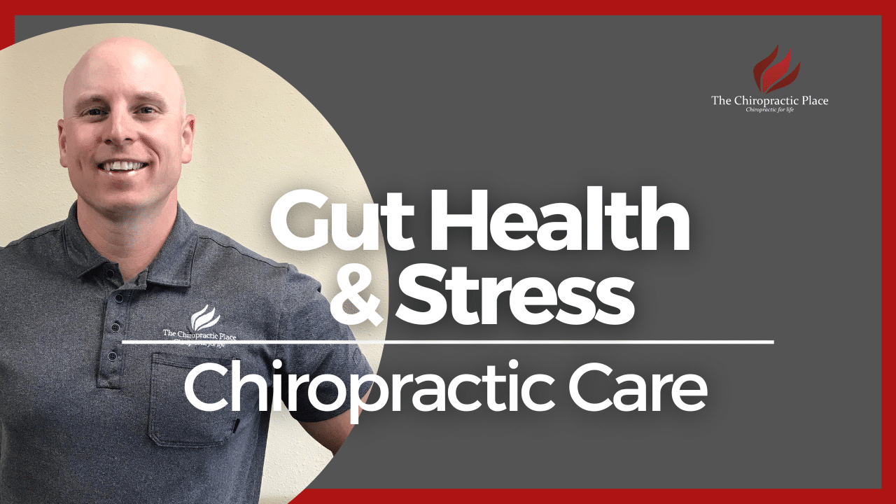 Improve Gut Health; Prevent Anxiety - The Chiropractic Place