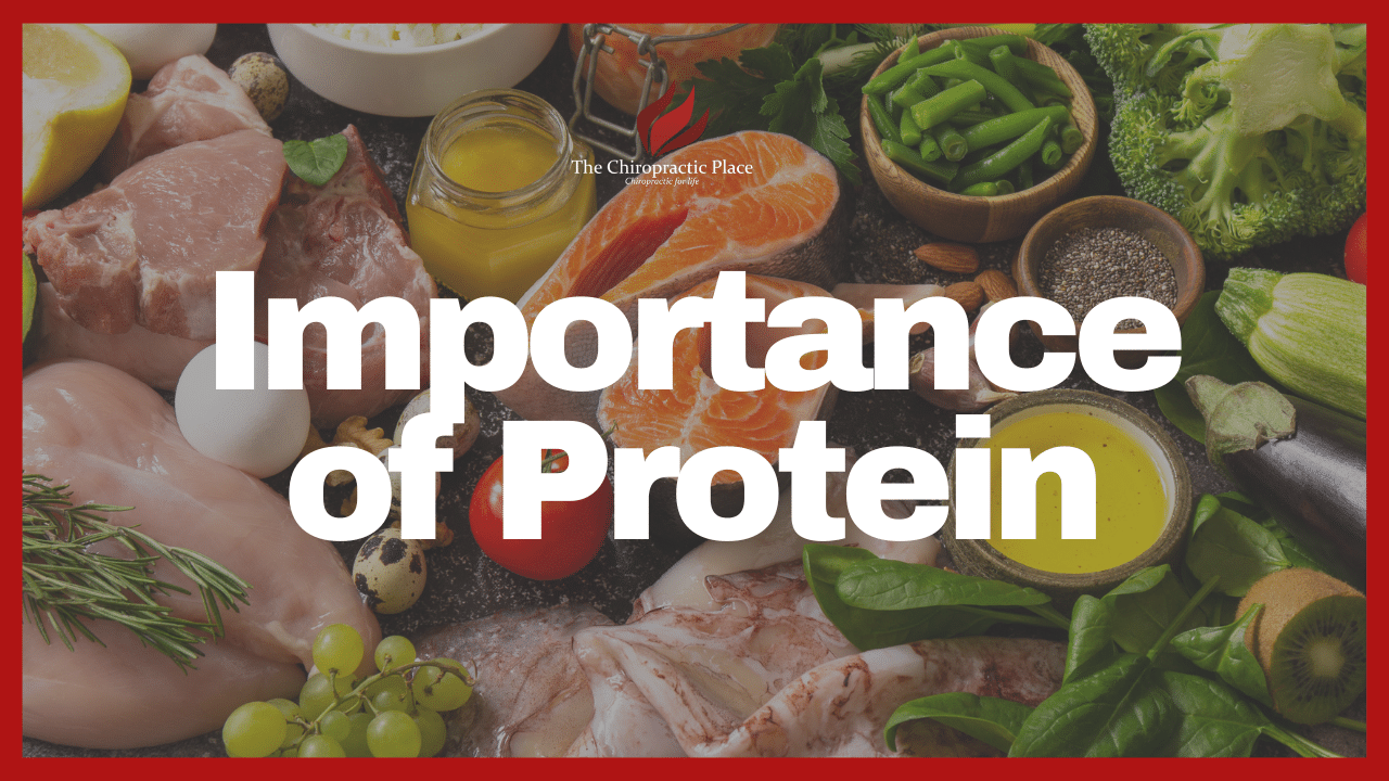 The Power Of Protein | The Chiropractic Place