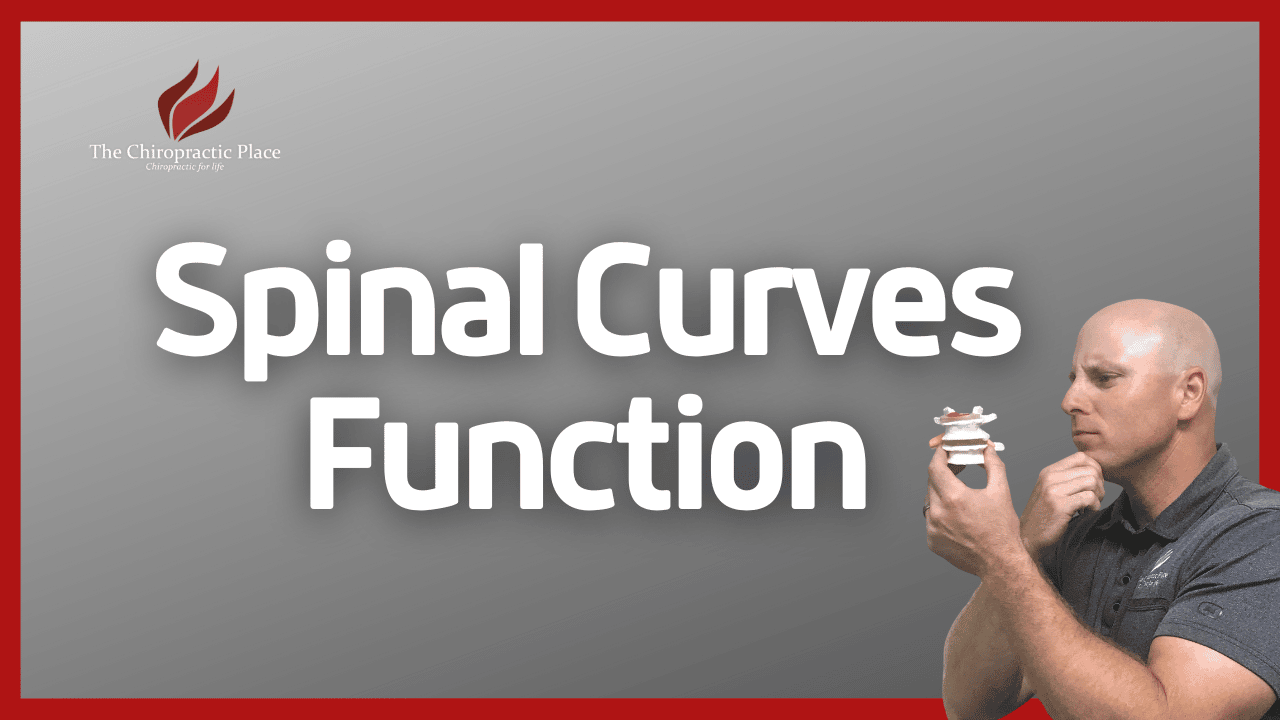 Spinal Curves Function - The Chiropractic Place