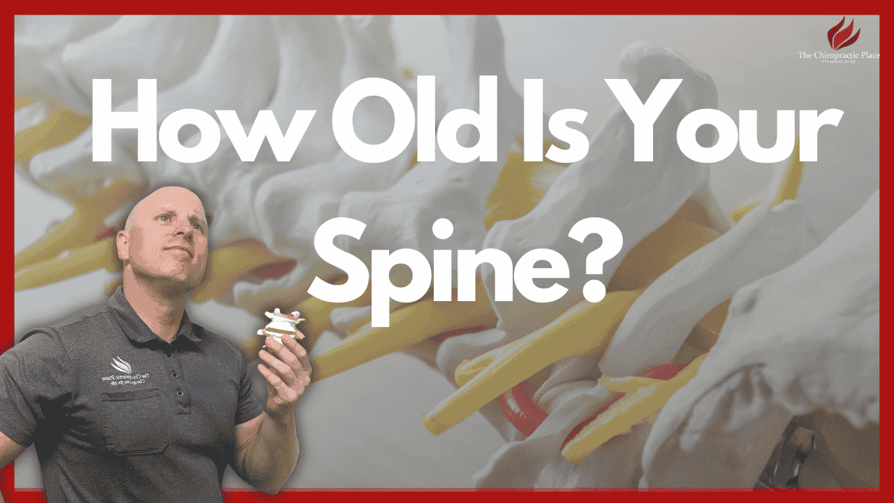 Determining What Phase Your Spine Is In - The Chiropractic Place